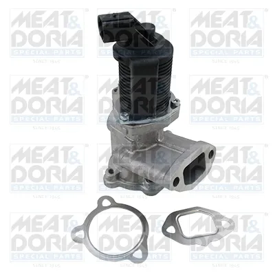 Válvula EGR Fiat PALIO · Fiat PUNTO · Fiat SIENA