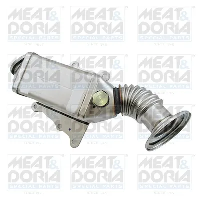 Elemento enfriador, reciclaje gases escape Fiat DUCATO Bus · Fiat DUCATO Van · Fiat DUCATO Platform/Chassis