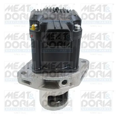 Válvula EGR MEAT & DORIA 88763
