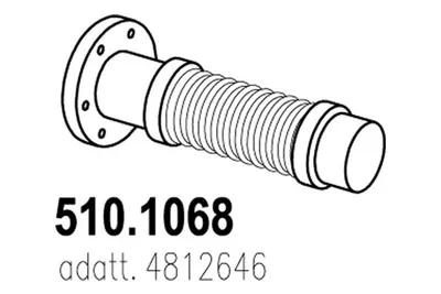 Tubo de escape ASSO 510.1068