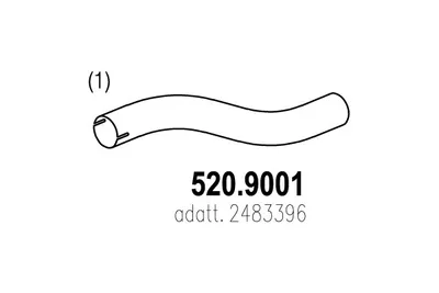 Tubo de escape ASSO 520.9001