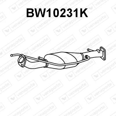 Catalizador Bmw X5
