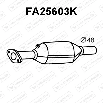Catalizador Fiat PALIO · Fiat PALIO Weekend · Fiat SIENA