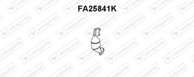 Catalizador VENEPORTE FA25841K