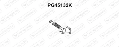 Catalizador Peugeot 407 · Peugeot 407 SW