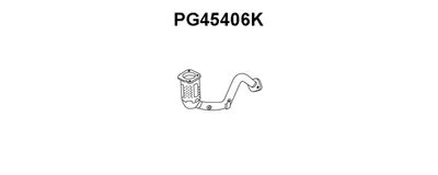 Catalizador VENEPORTE PG45406K