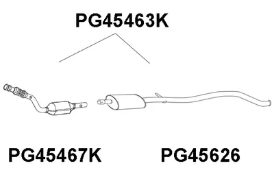 Catalizador VENEPORTE PG45463K
