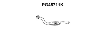 Catalizador VENEPORTE PG45711K