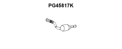 Catalizador VENEPORTE PG45817K