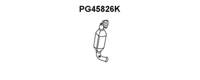 Catalizador VENEPORTE PG45826K