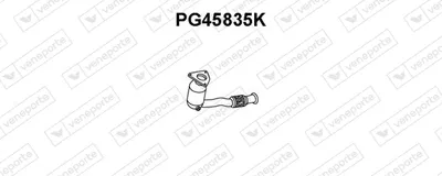 Catalizador VENEPORTE PG45835K