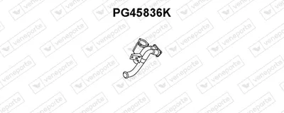 Catalizador VENEPORTE PG45836K
