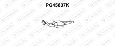 Catalizador VENEPORTE PG45837K