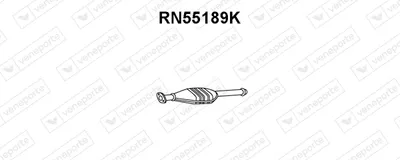 Catalizador Renault 21 Saloon