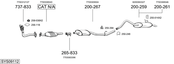 Sistema de gases de escape Renault KANGOO Express