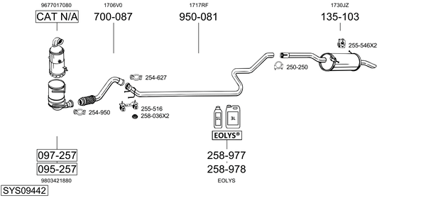 Sistema de gases de escape Citroën BERLINGO MULTISPACE