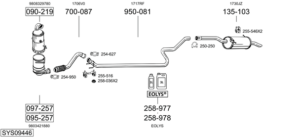 Sistema de gases de escape Citroën BERLINGO MULTISPACE