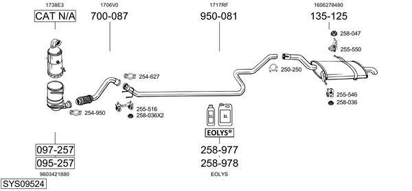 Sistema de gases de escape Citroën C4 GRAND PICASSO I