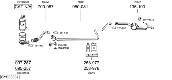 Sistema de gases de escape Peugeot PARTNER Box Body/MPV