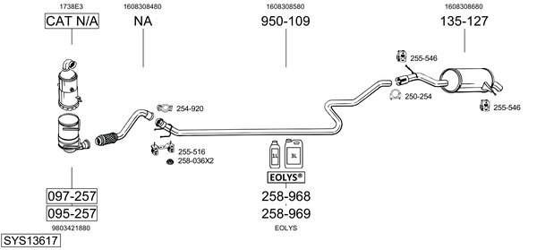 Sistema de gases de escape Citroën C5 III