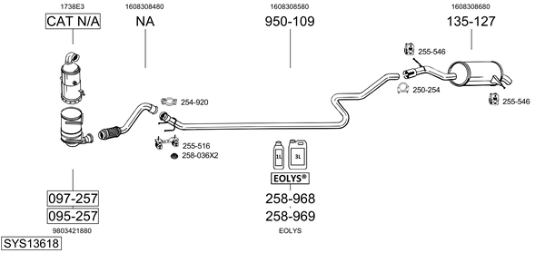 Sistema de gases de escape Citroën C5 III Break