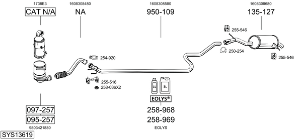 Sistema de gases de escape Citroën C5 III