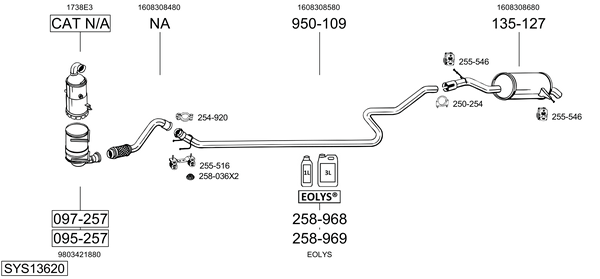 Sistema de gases de escape Citroën C5 III Break