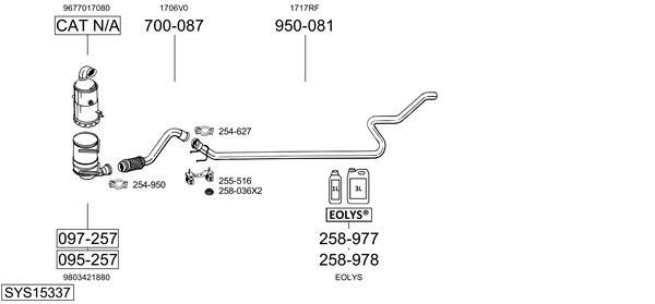 Sistema de gases de escape Ds DS 5