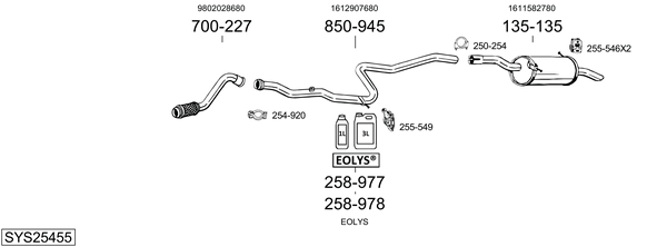 Sistema de gases de escape Citroën BERLINGO Box Body/MPV