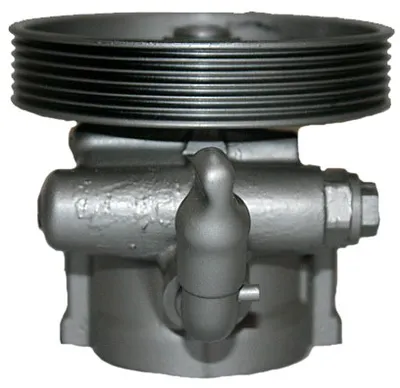 Bomba hidráulica, dirección Citroën BERLINGO / BERLINGO FIRST Box Body/MPV · Citroën BERLINGO / BERLINGO FIRST MPV · Citroën XSARA PICASSO