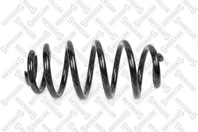 Muelle de suspensión Audi A4 B6 · Audi A4 B7