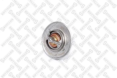 Termostato, refrigerante Audi A6 C6 · Audi A6 C6 Avant · Audi A4 B8