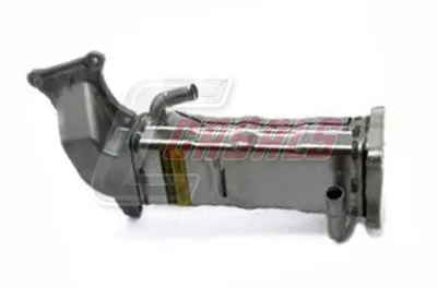 Válvula EGR CASALS 97136