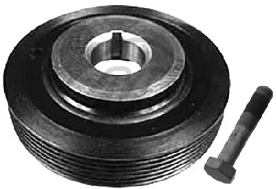 Kit poleas, cigüeñal Citroën XANTIA · Citroën ZX · Citroën EVASION MPV