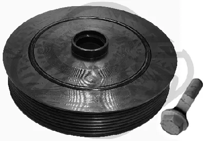 Kit poleas, cigüeñal Nissan PRIMERA · Nissan PRIMERA Estate · Nissan PRIMERA Hatchback