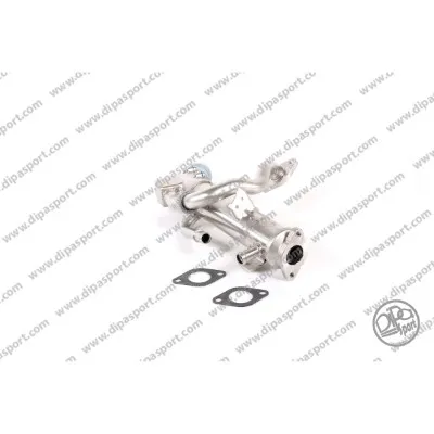 Elemento enfriador, reciclaje gases escape Audi A6 C6 · Audi A6 C6 Avant · Audi A5