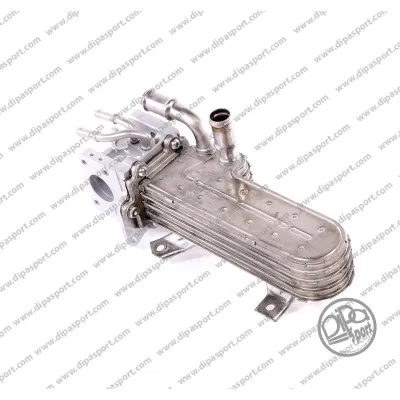 Elemento enfriador, reciclaje gases escape Audi A3 · Audi A4 B6 · Audi A4 B6 Avant