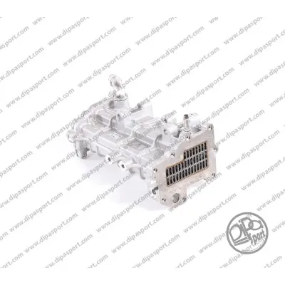 Elemento enfriador, reciclaje gases escape Iveco DAILY IV Van · Iveco DAILY IV Platform/Chassis