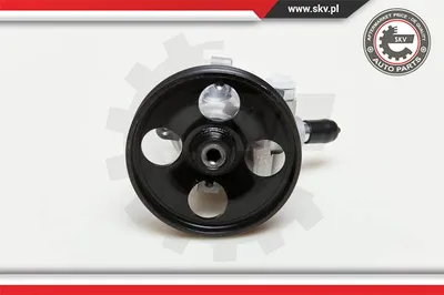 Bomba hidráulica, dirección Citroën BERLINGO / BERLINGO FIRST Box Body/MPV · Citroën BERLINGO / BERLINGO FIRST MPV · Peugeot PARTNER Box Body/MPV
