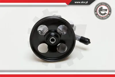 Bomba hidráulica, dirección Citroën C4 Coupe · Citroën C4 I · Citroën C5 II