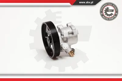 Bomba hidráulica, dirección Peugeot 406 · Peugeot 406 Break