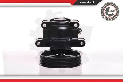 Bomba hidráulica, dirección Ford FIESTA IV · Ford FIESTA Box Body/MPV · Ford KA