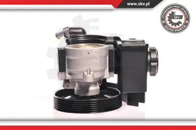 Bomba hidráulica, dirección Citroën BERLINGO / BERLINGO FIRST Box Body/MPV · Citroën BERLINGO / BERLINGO FIRST MPV · Citroën XSARA PICASSO