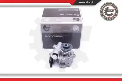 Bomba hidráulica, dirección Vw TRANSPORTER T4 Bus · Vw TRANSPORTER T4 Van · Vw TRANSPORTER T4 Platform/Chassis (70E, 70L, 70M, 7DE, 7DL, 7D