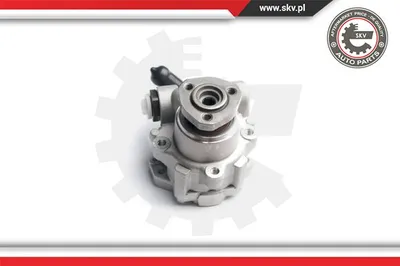 Bomba hidráulica, dirección Seat TOLEDO I · Seat IBIZA II · Vw PASSAT B3/B4