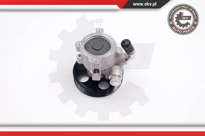 Bomba hidráulica, dirección Citroën ZX · Citroën BERLINGO / BERLINGO FIRST Box Body/MPV · Citroën BERLINGO / BERLINGO FIRST MPV