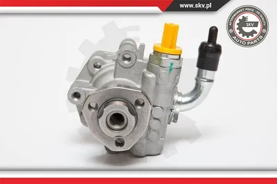 Bomba hidráulica, dirección Vw MULTIVAN T5 · Vw TRANSPORTER T5 Platform/Chassis (7JD, 7JE, 7JL, 7JY, 7JZ, 7F · Vw TRANSPORTER T5 Van