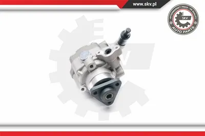 Bomba hidráulica, dirección Vw MULTIVAN T5 · Vw TRANSPORTER T5 Platform/Chassis (7JD, 7JE, 7JL, 7JY, 7JZ, 7F · Vw TRANSPORTER T5 Van