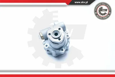 Bomba hidráulica, dirección Ford GALAXY I · Seat ALHAMBRA · Vw SHARAN