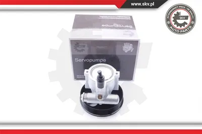 Bomba hidráulica, dirección Renault LAGUNA I · Renault LAGUNA I Grandtour · Renault MEGANE I